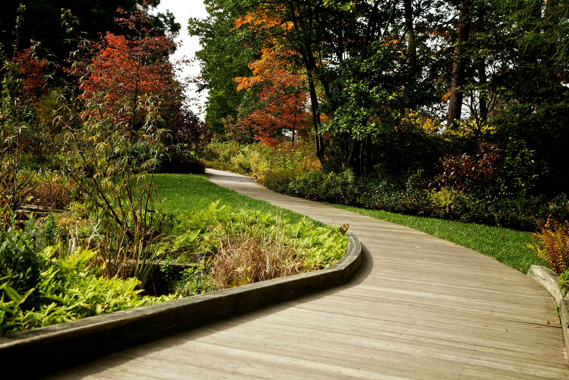Landscape-Design-&-Installation