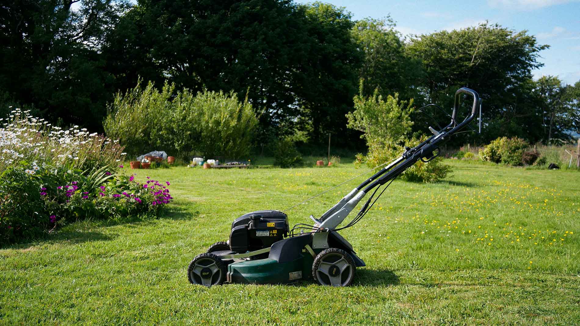 Lawn-Care-&-Maintenance