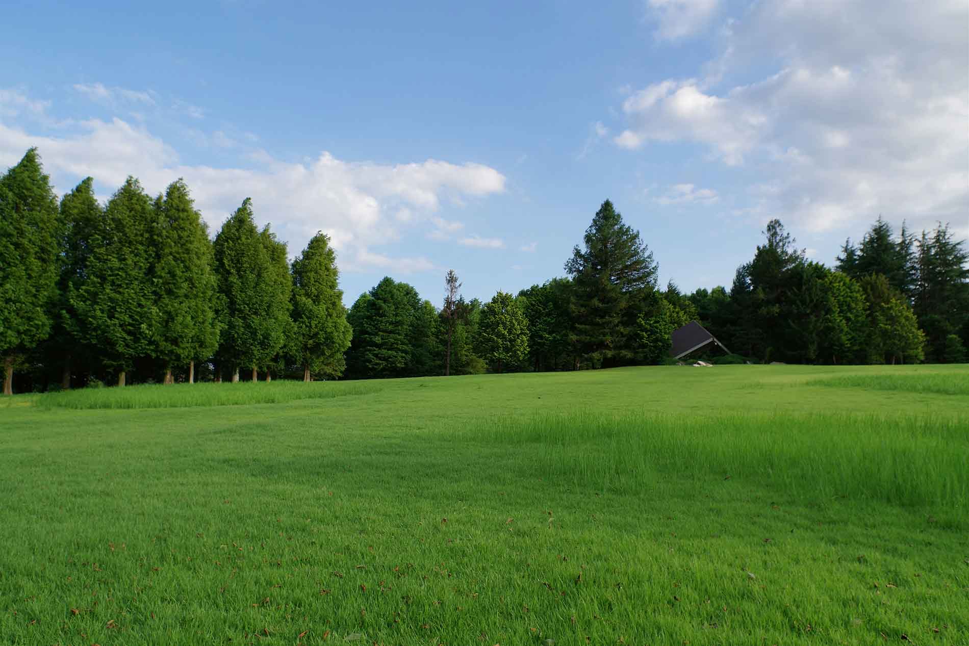 naoki-suzuki-1jt9iw3q_uc-unsplash