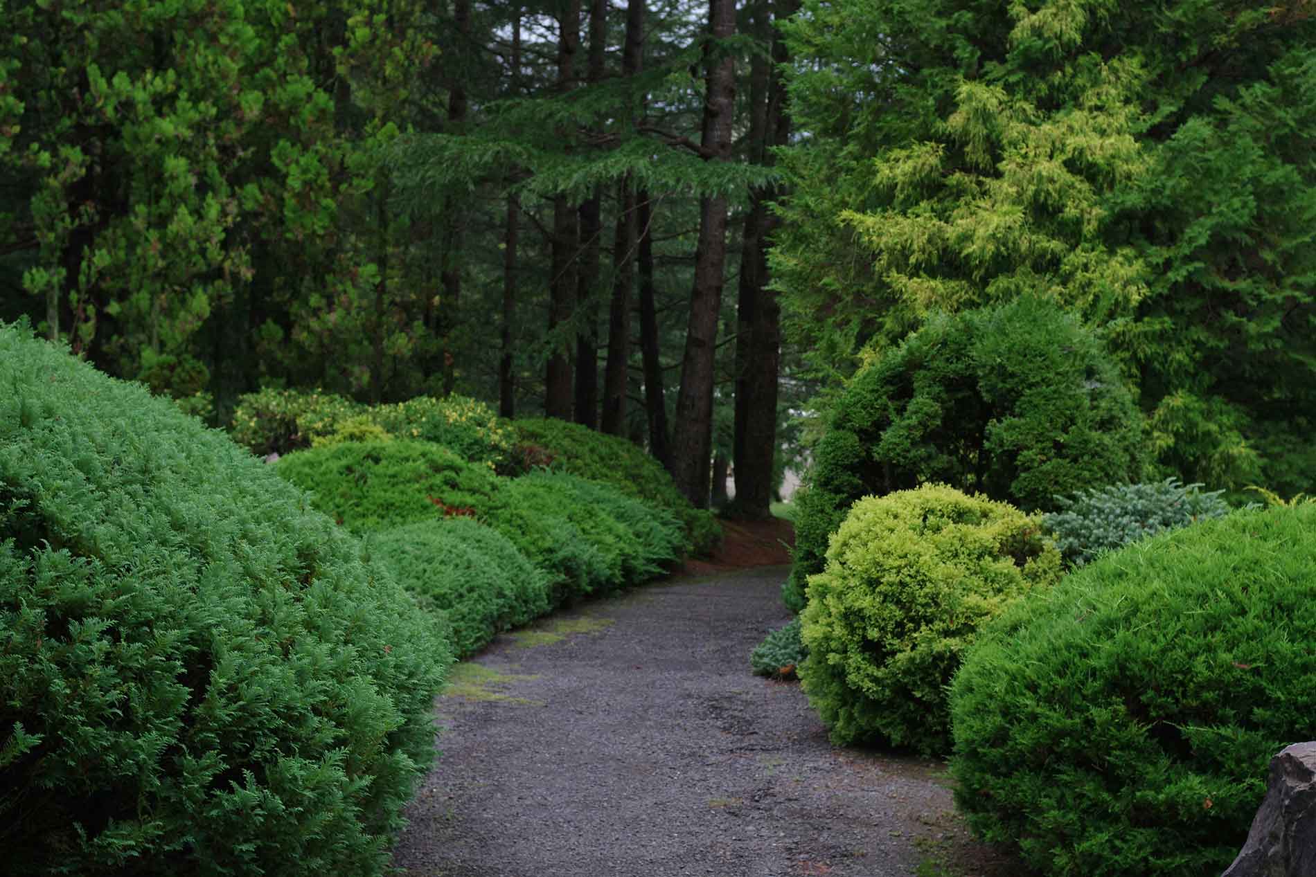 naoki-suzuki-FVk-Tf61Ihg-unsplash