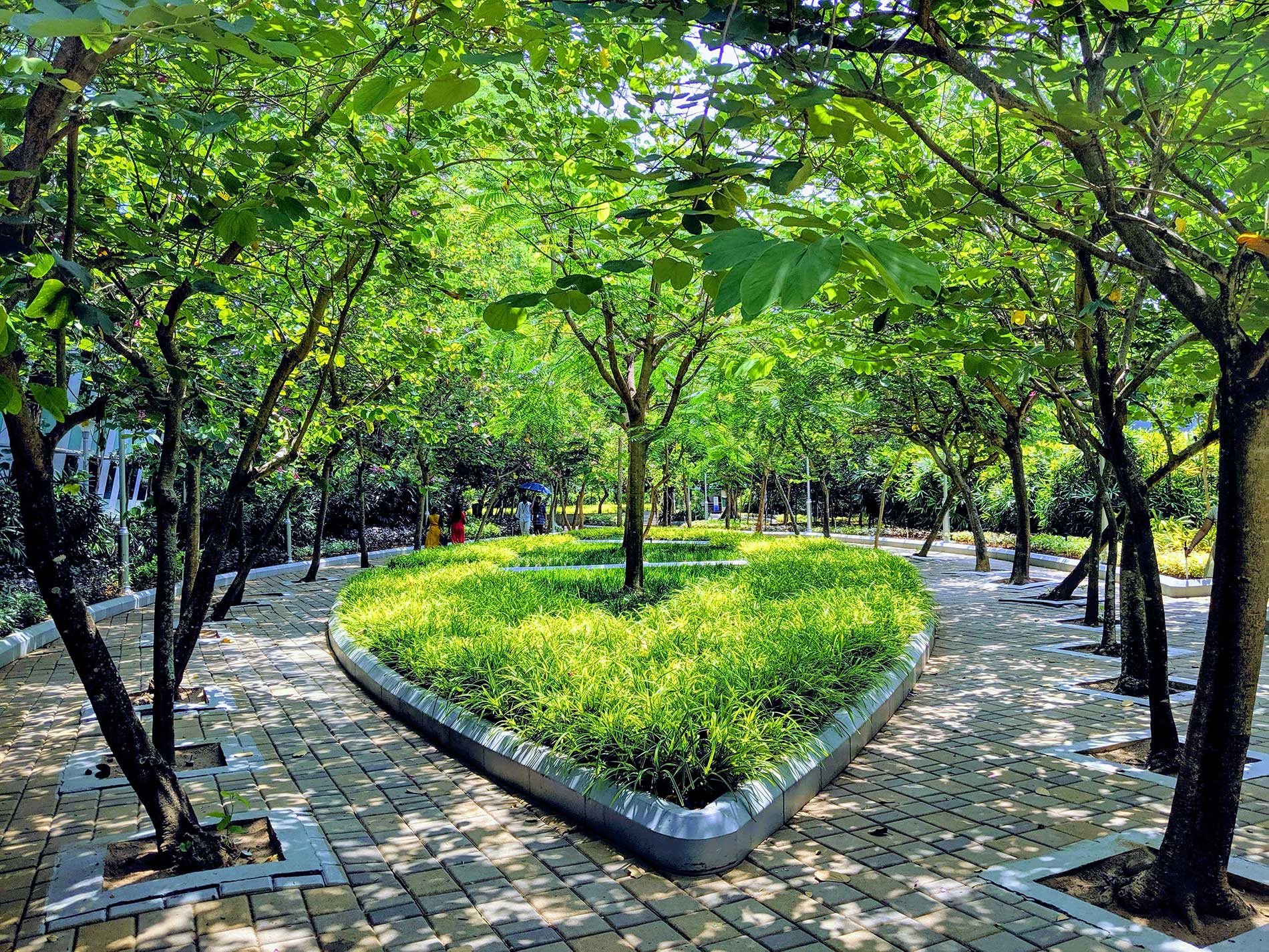 vishnu-prasad-QM5rBb9Fiig-unsplash