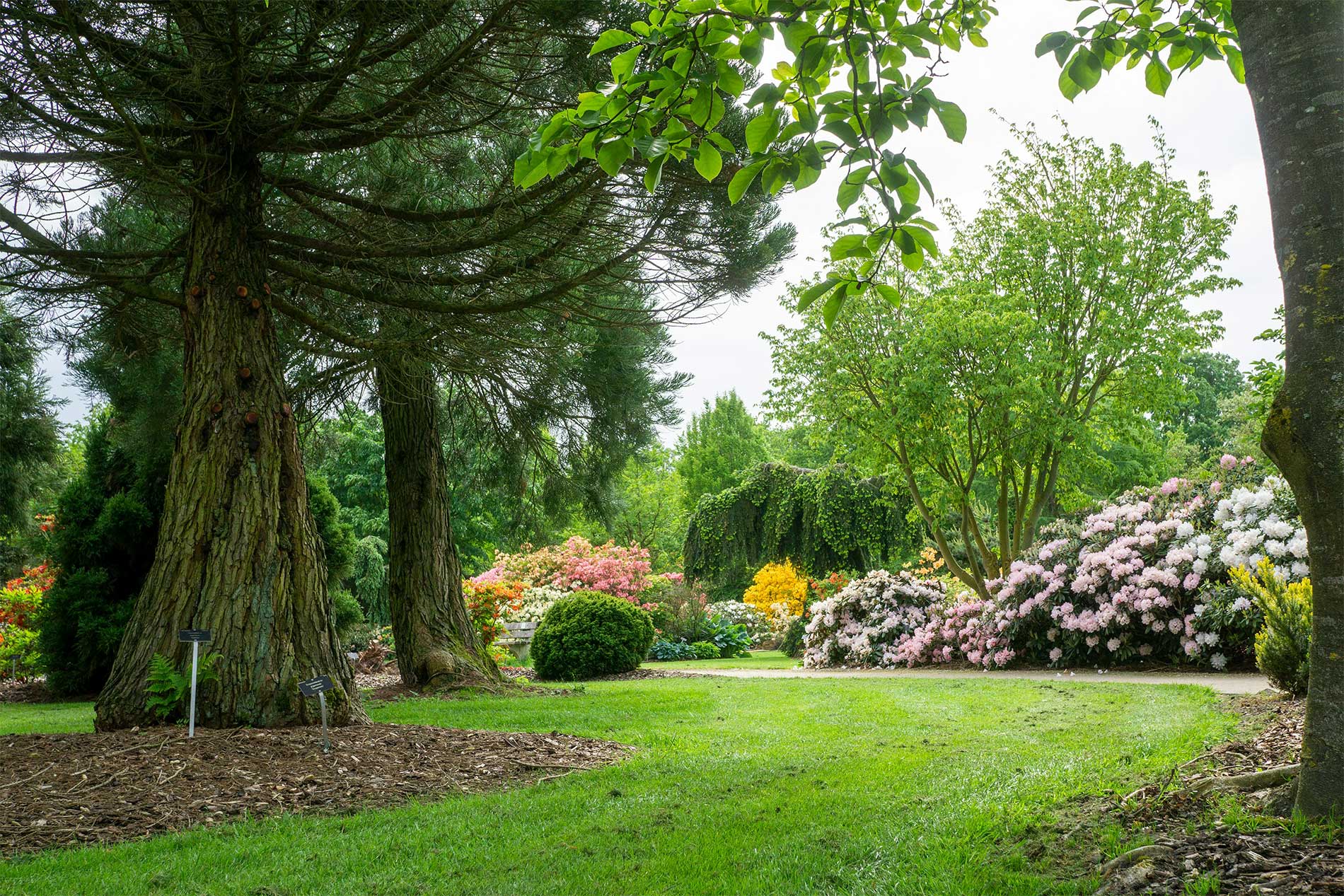 wietse-jongsma-JTRSiSEpE9I-unsplash